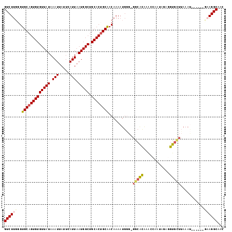 dotplot