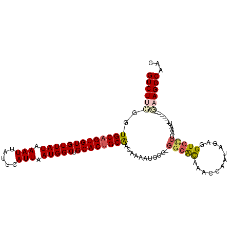 secondary structure