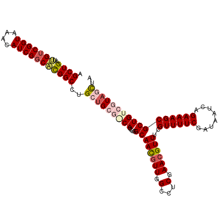 secondary structure