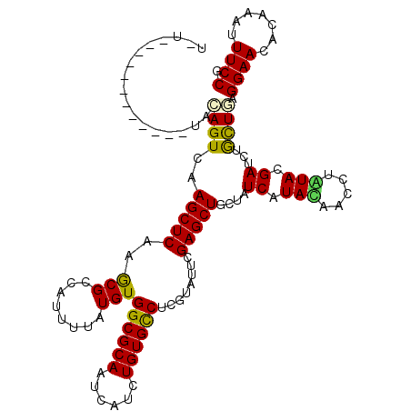 secondary structure