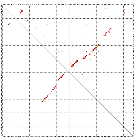 dotplot