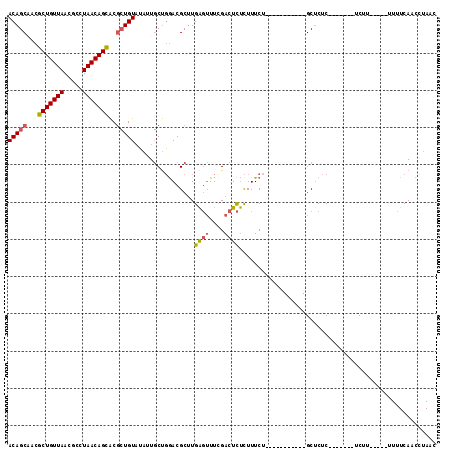 dotplot