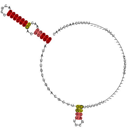 secondary structure