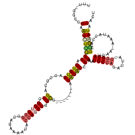 secondary structure