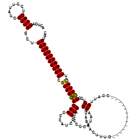 secondary structure