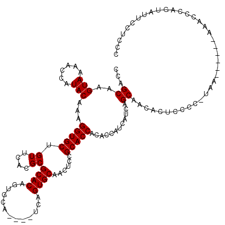 secondary structure