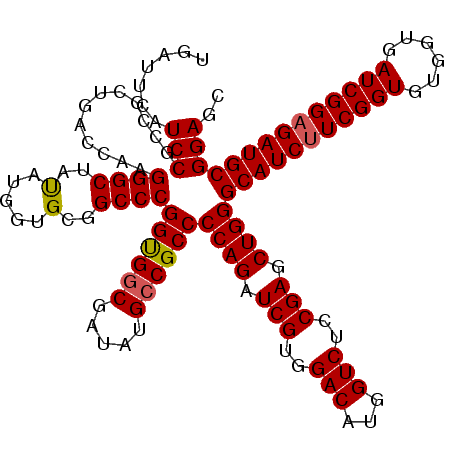 secondary structure