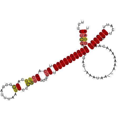 secondary structure
