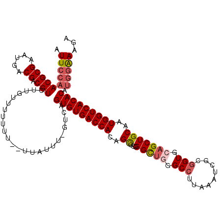 secondary structure