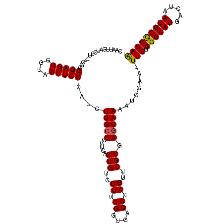 secondary structure