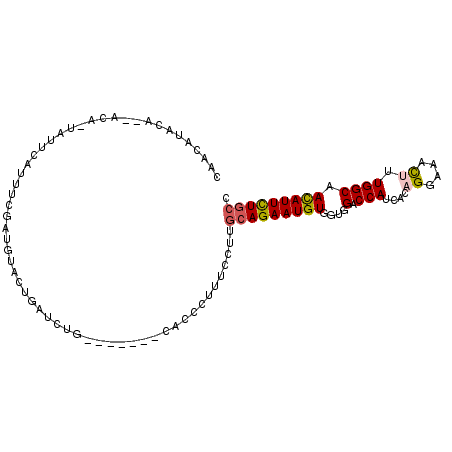 secondary structure