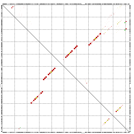 dotplot