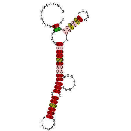 secondary structure