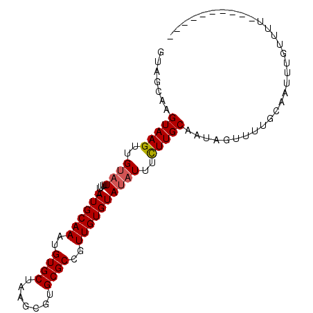 secondary structure