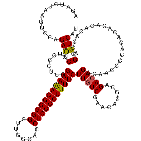secondary structure