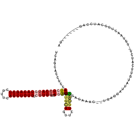 secondary structure