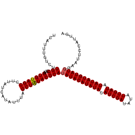 secondary structure