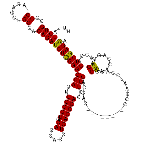 secondary structure