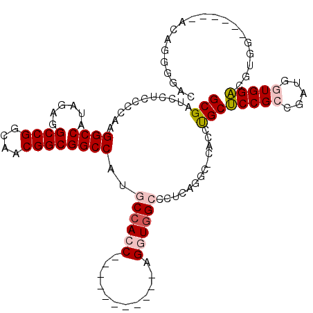 secondary structure