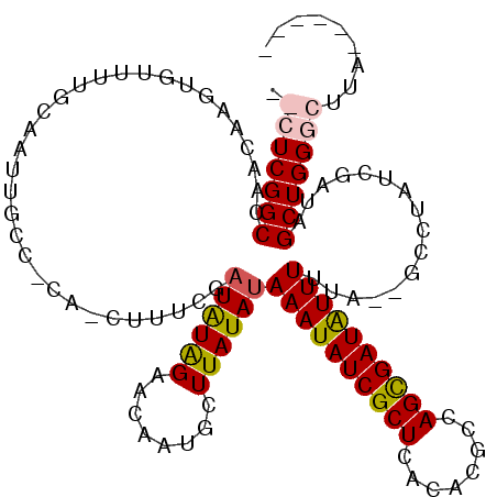 secondary structure