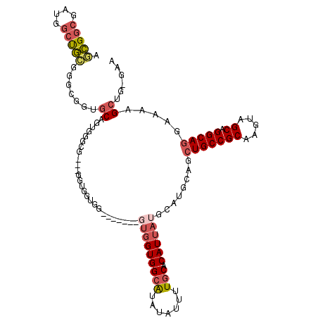 secondary structure
