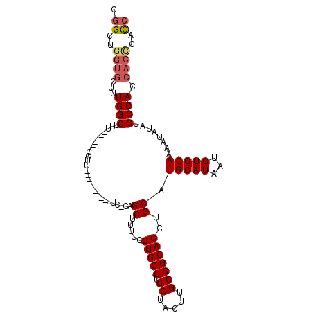 secondary structure