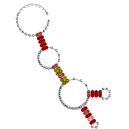 secondary structure