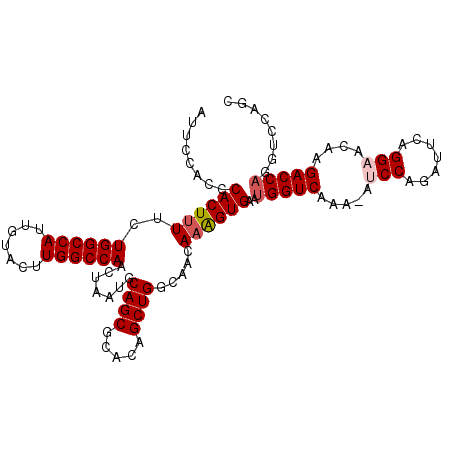 secondary structure
