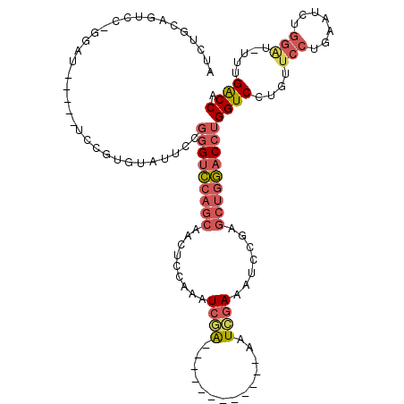 secondary structure