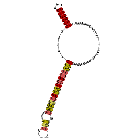 secondary structure