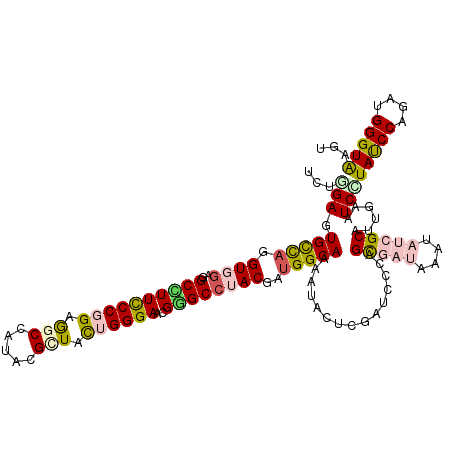 secondary structure