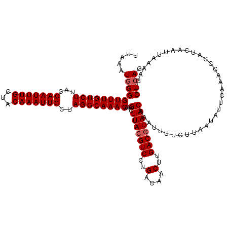 secondary structure