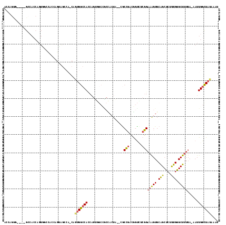 dotplot