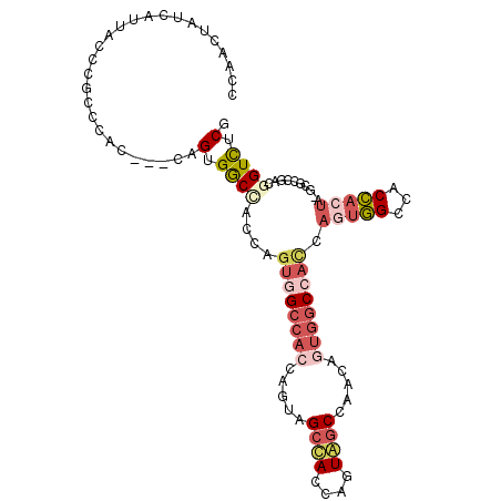 secondary structure