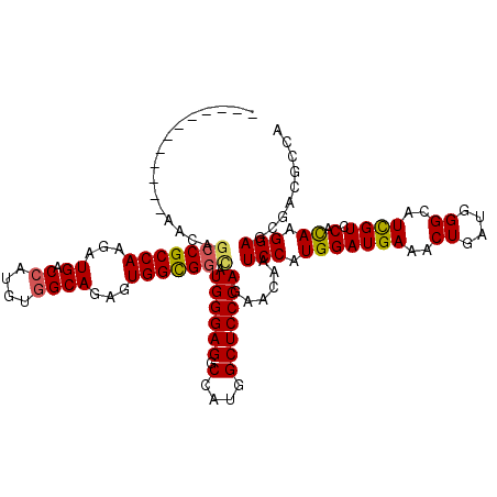 secondary structure