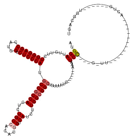 secondary structure