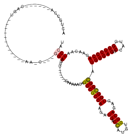 secondary structure