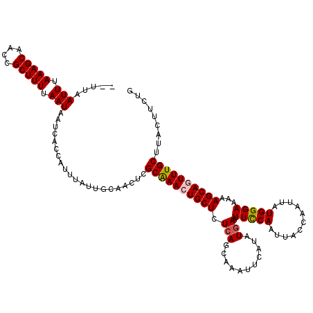 secondary structure
