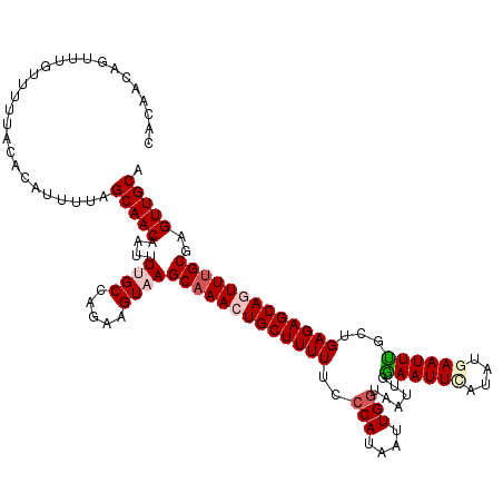 secondary structure