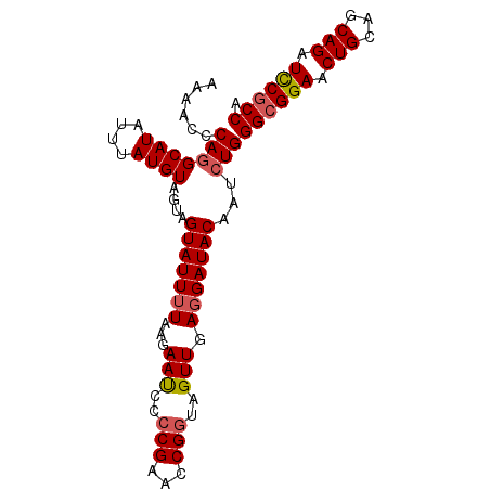 secondary structure