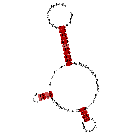 secondary structure