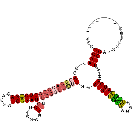 secondary structure