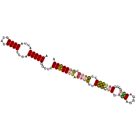 secondary structure