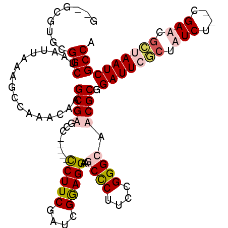 secondary structure