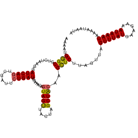 secondary structure
