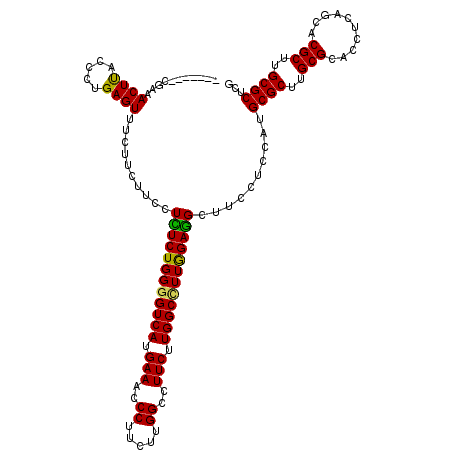 secondary structure