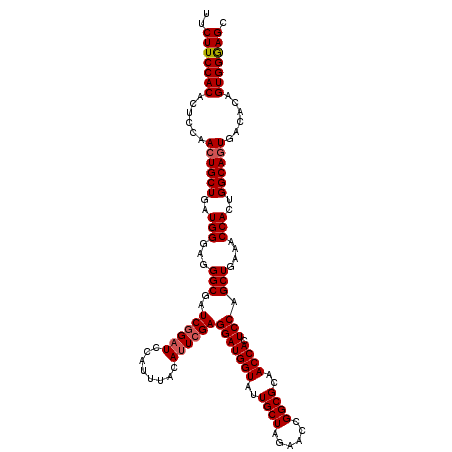 secondary structure