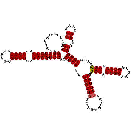 secondary structure