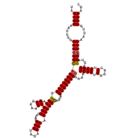 secondary structure