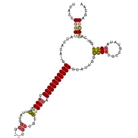 secondary structure